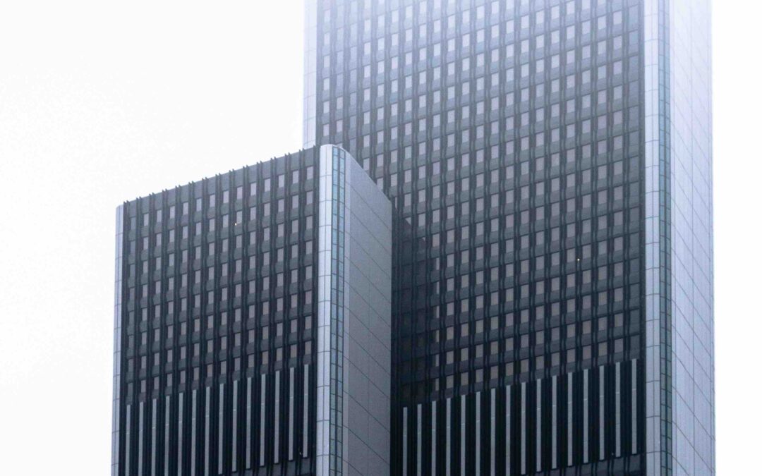 Networking Among the Human Capitalists: The Organizational Dynamics of Change and Power in the Large Corporate Law Firm