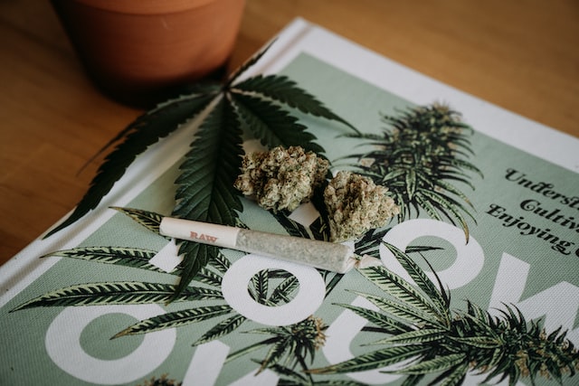 Cannabis Law