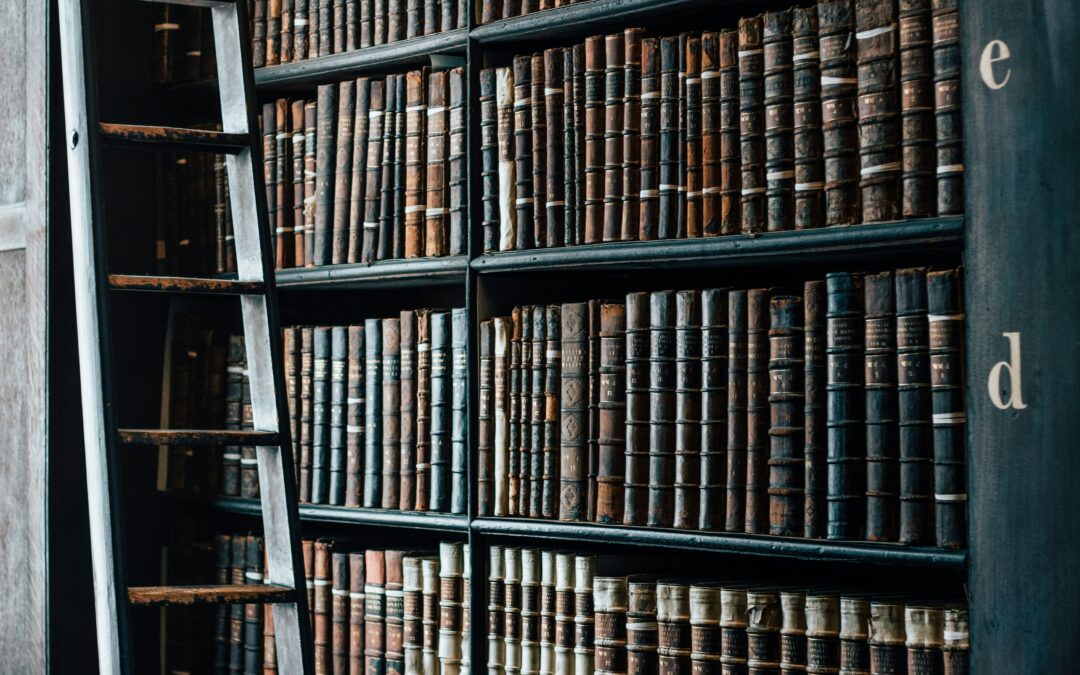 Improving Law Reviews